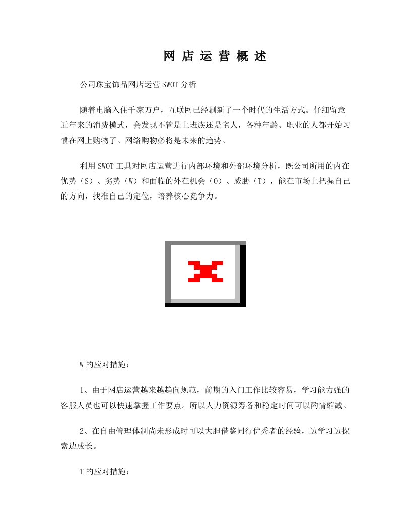 珠宝网店运营计划