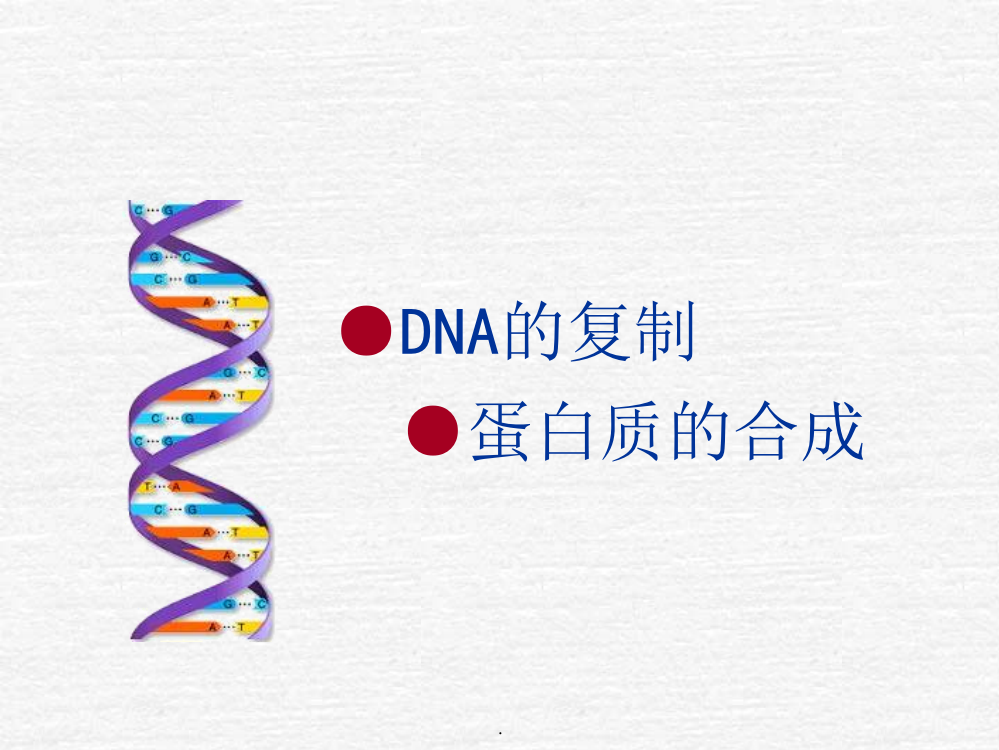 DNA的复制、转录、翻译