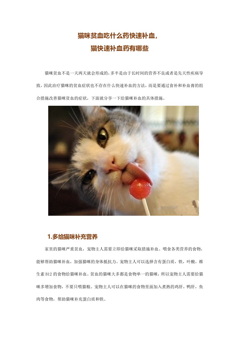 猫咪贫血吃什么药快速补血,猫快速补血药有哪些