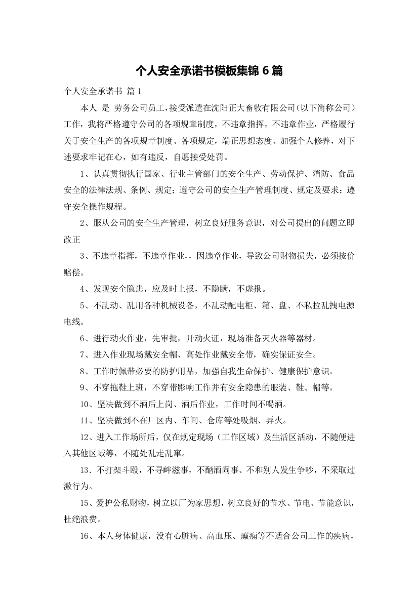 个人安全承诺书模板集锦6篇