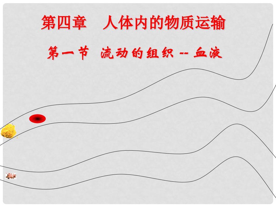 新疆新源县别斯托别中学七年级生物下册