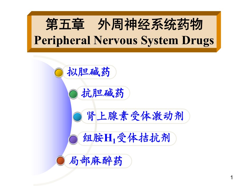 第五章—外周神经系统药物