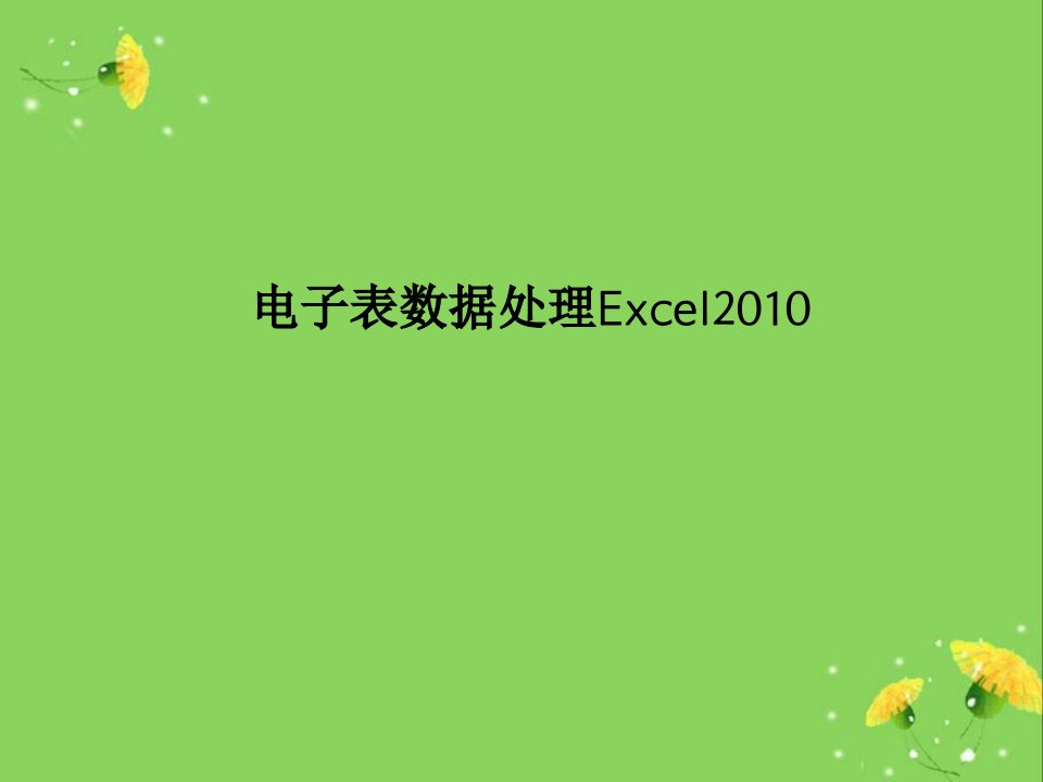 电子表数据处理Excel2010PPT课件