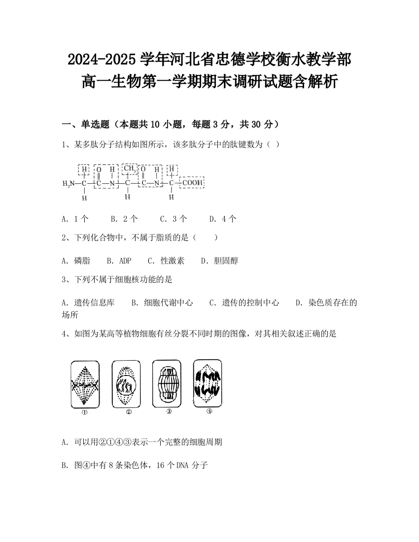 2024-2025学年河北省忠德学校衡水教学部高一生物第一学期期末调研试题含解析