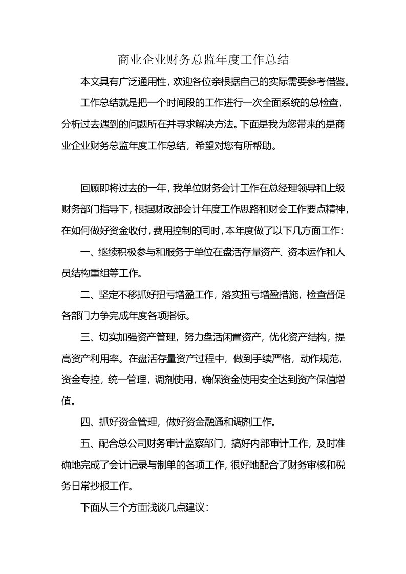 商业企业财务总监年度工作总结