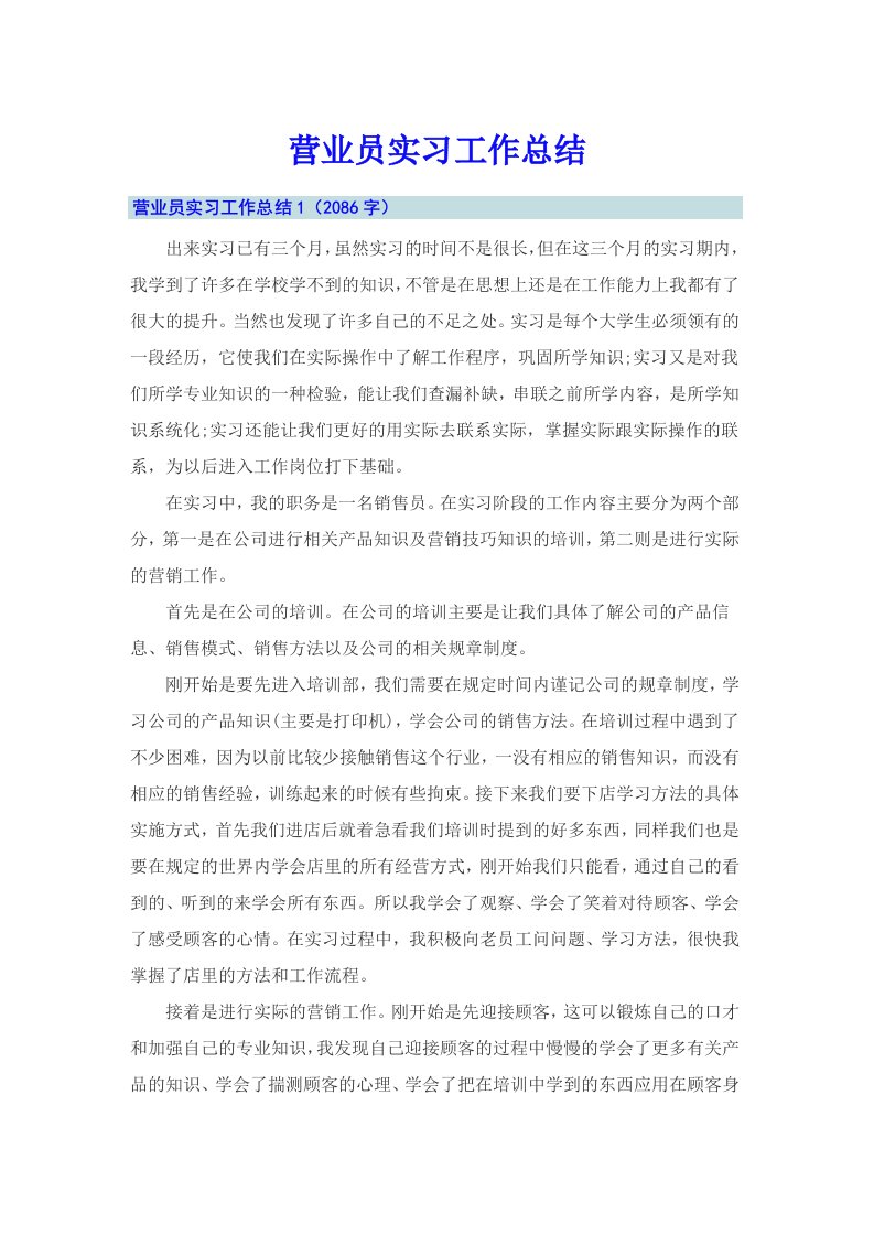 营业员实习工作总结