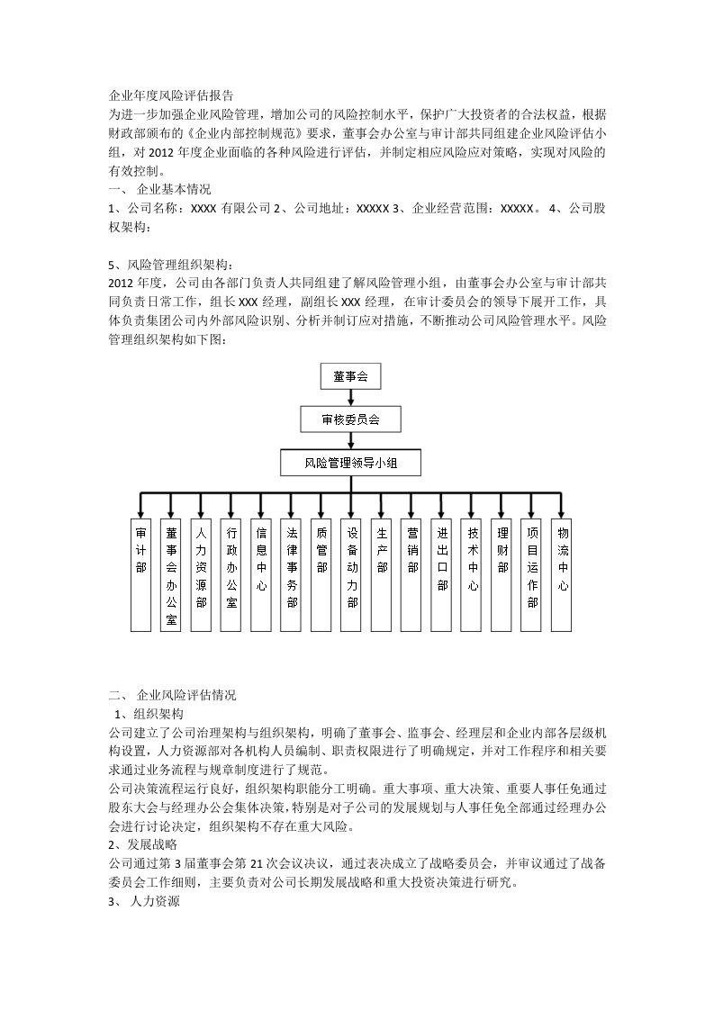 企业年度风险评估报告