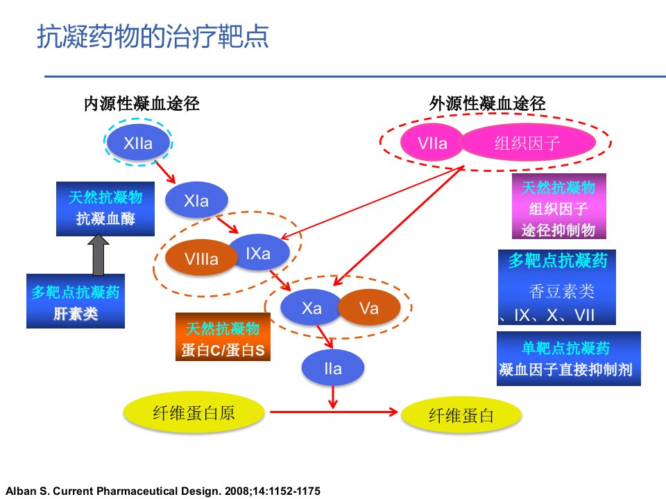 从抗凝机制的角度理解和选用抗凝药物ppt课件