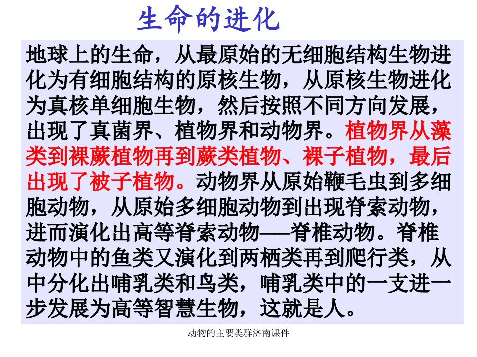 动物的主要类群济南课件