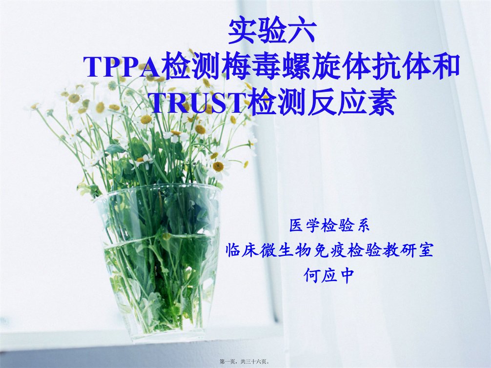 实验六tppa检测梅毒螺旋体抗体和trust检测反应素