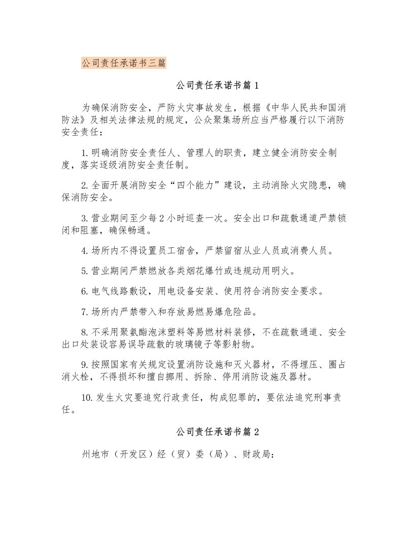 公司责任承诺书三篇