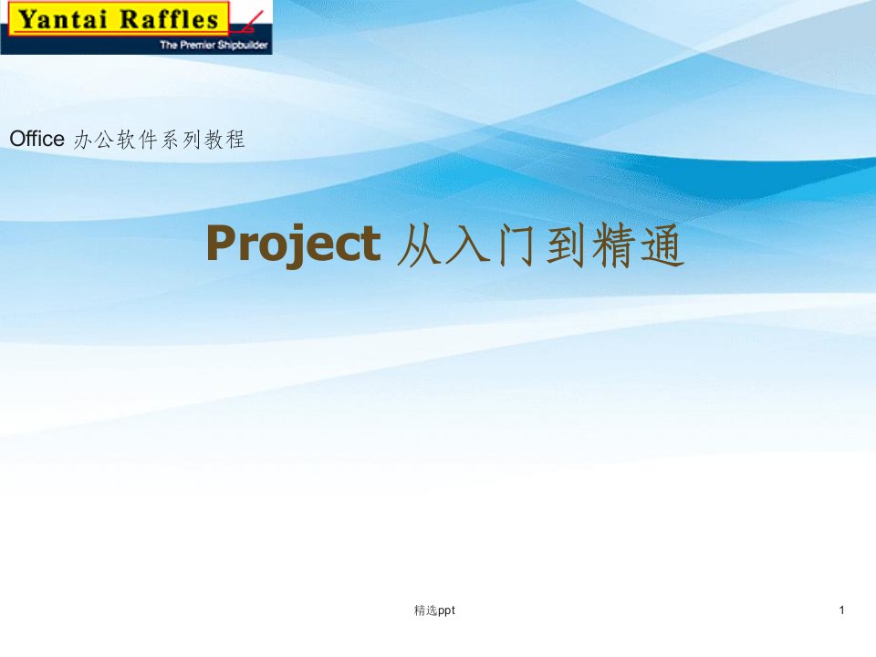 project-教程从入门到精通