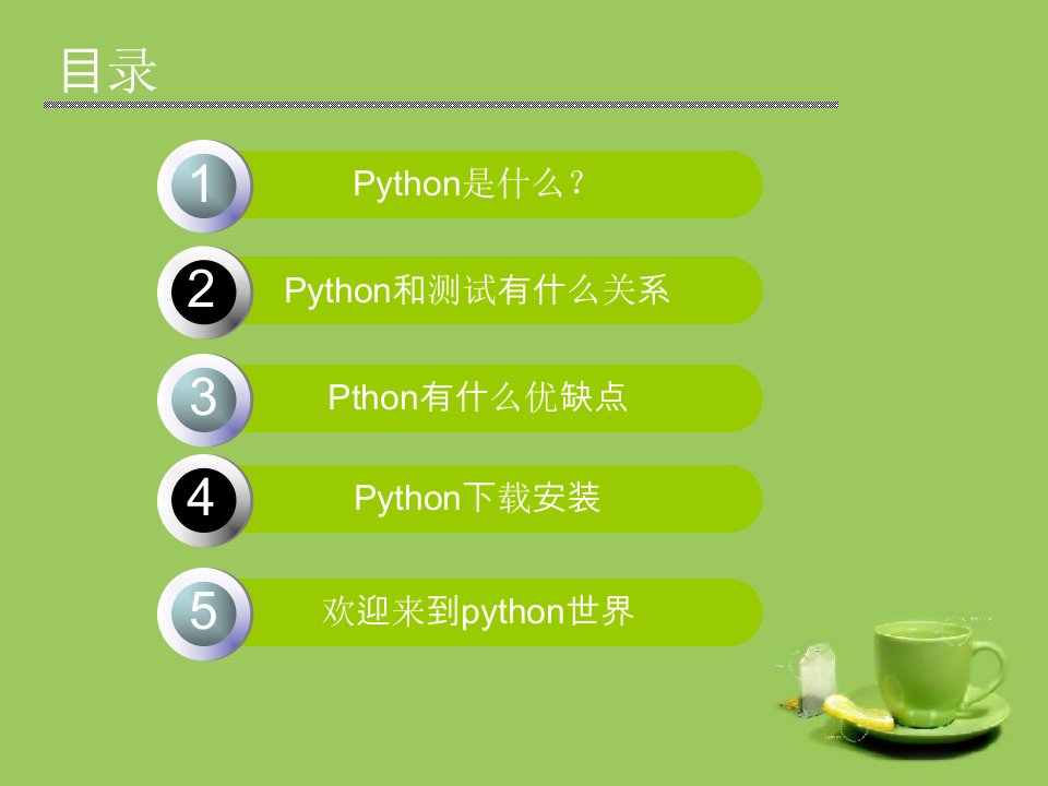 python入门基础简介精课件