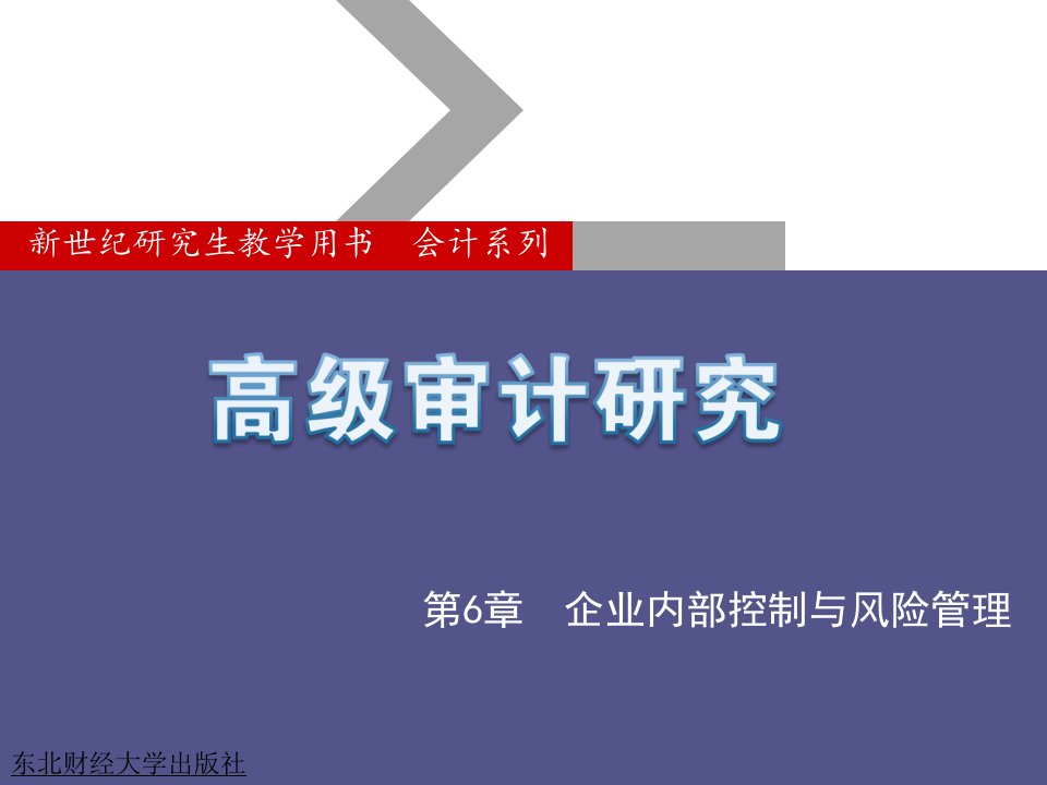 企业内部控制与风险管理ppt课件