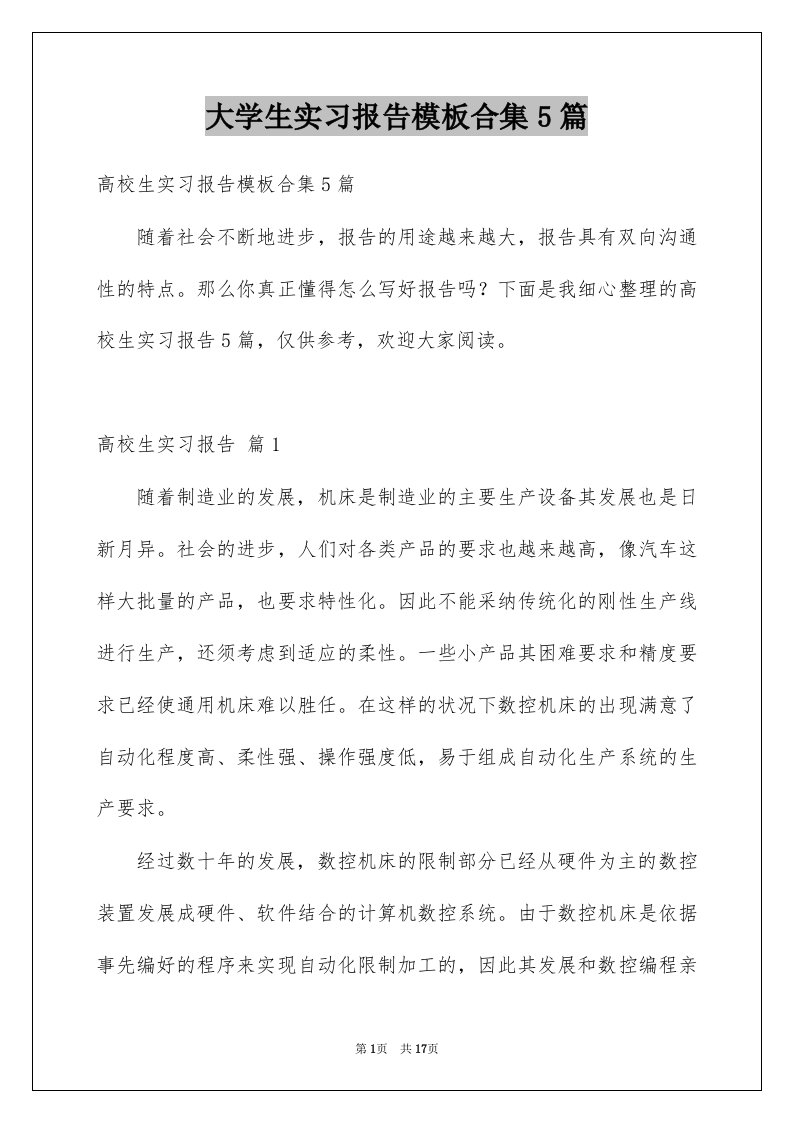 大学生实习报告模板合集5篇例文