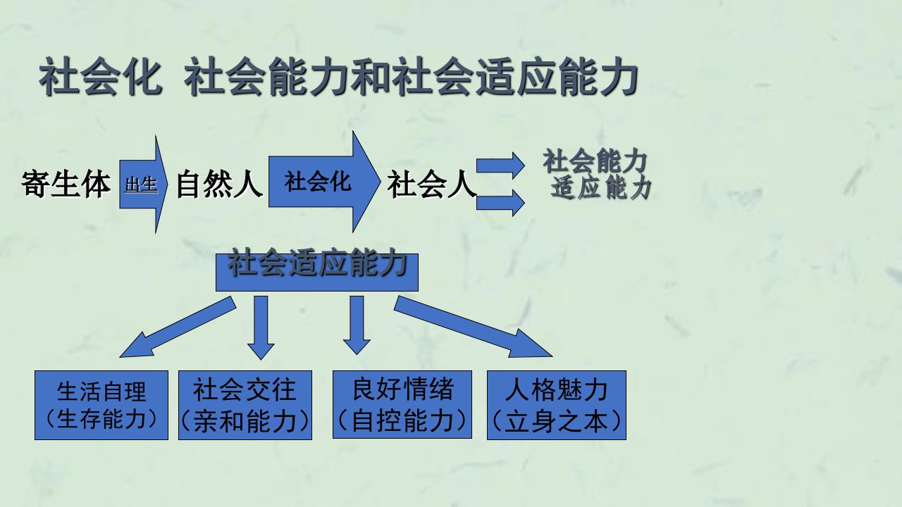 社会化能力和个性培养课件