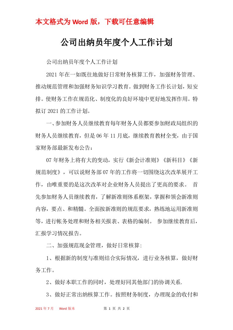 公司出纳员年度个人工作计划