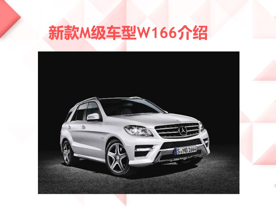 W166中文课件