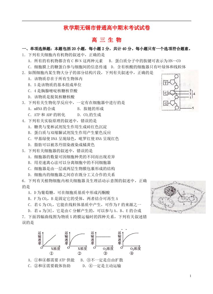 江苏省无锡市高三生物上学期期末检测试题