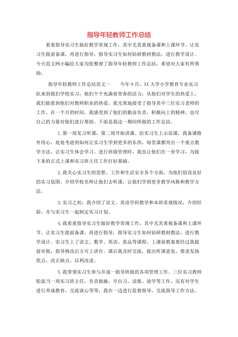 指导年轻教师工作总结