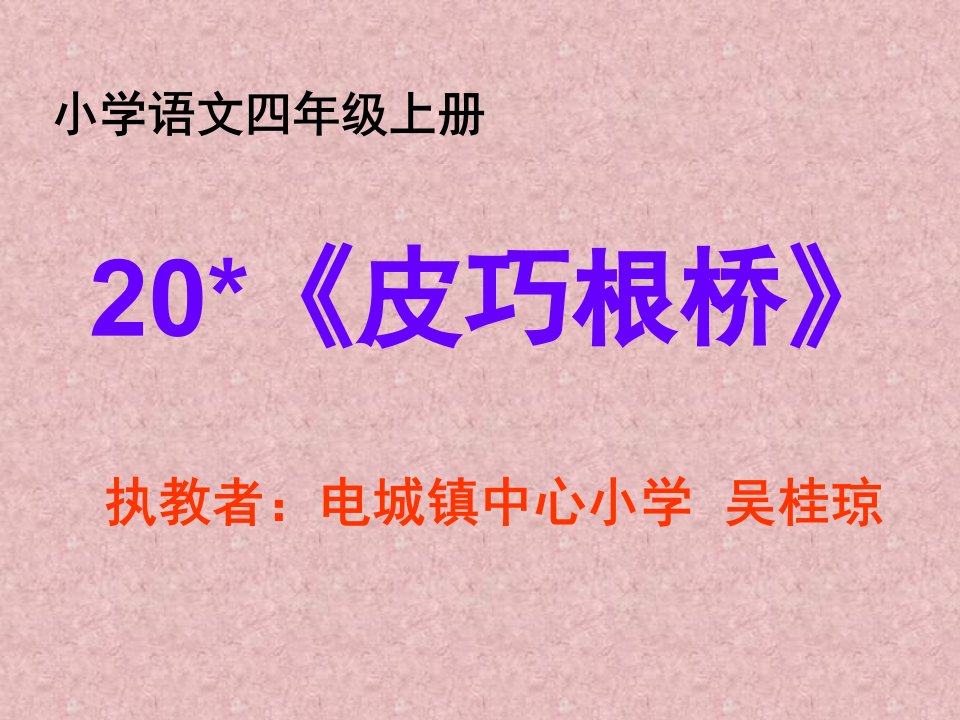 电城镇中心小学语文S版四上《皮巧根桥》课件