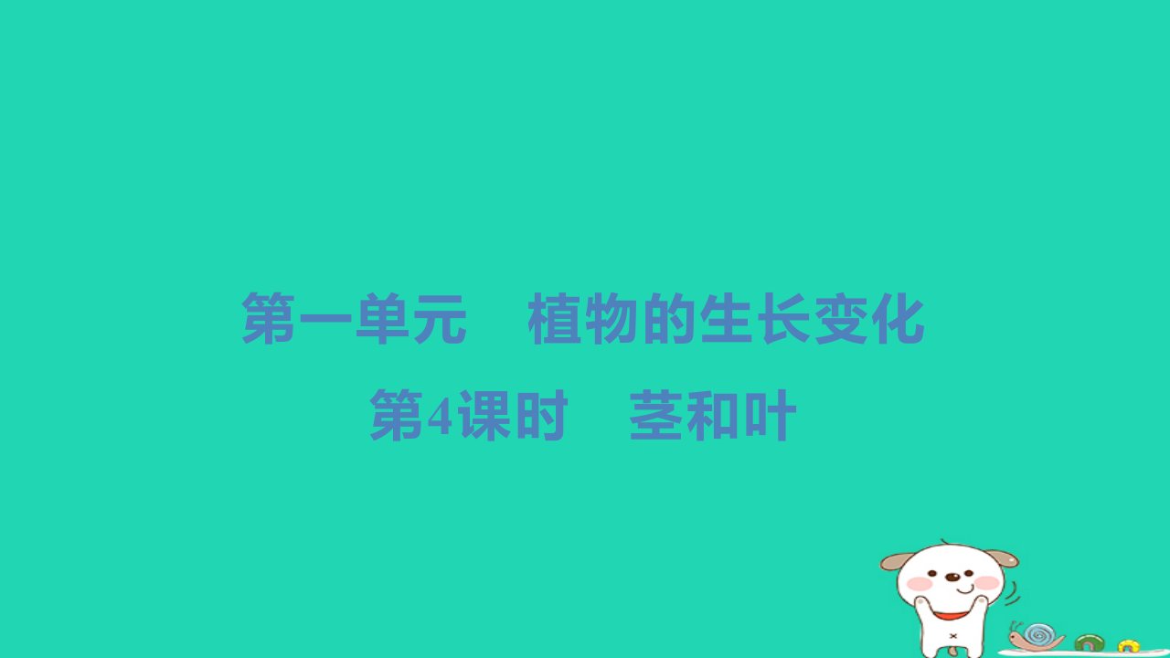 2024四年级科学下册第一单元植物的生长变化第4课时茎和叶小册习题课件教科版