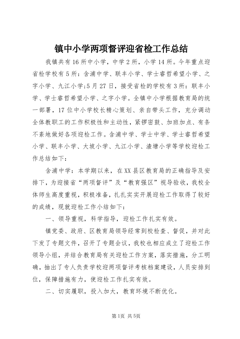 镇中小学两项督评迎省检工作总结