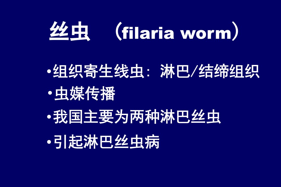 丝虫filariaworm