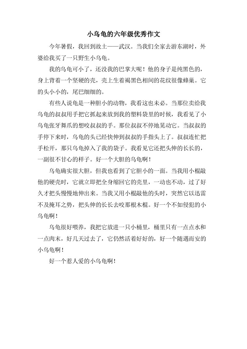 小乌龟的六年级作文