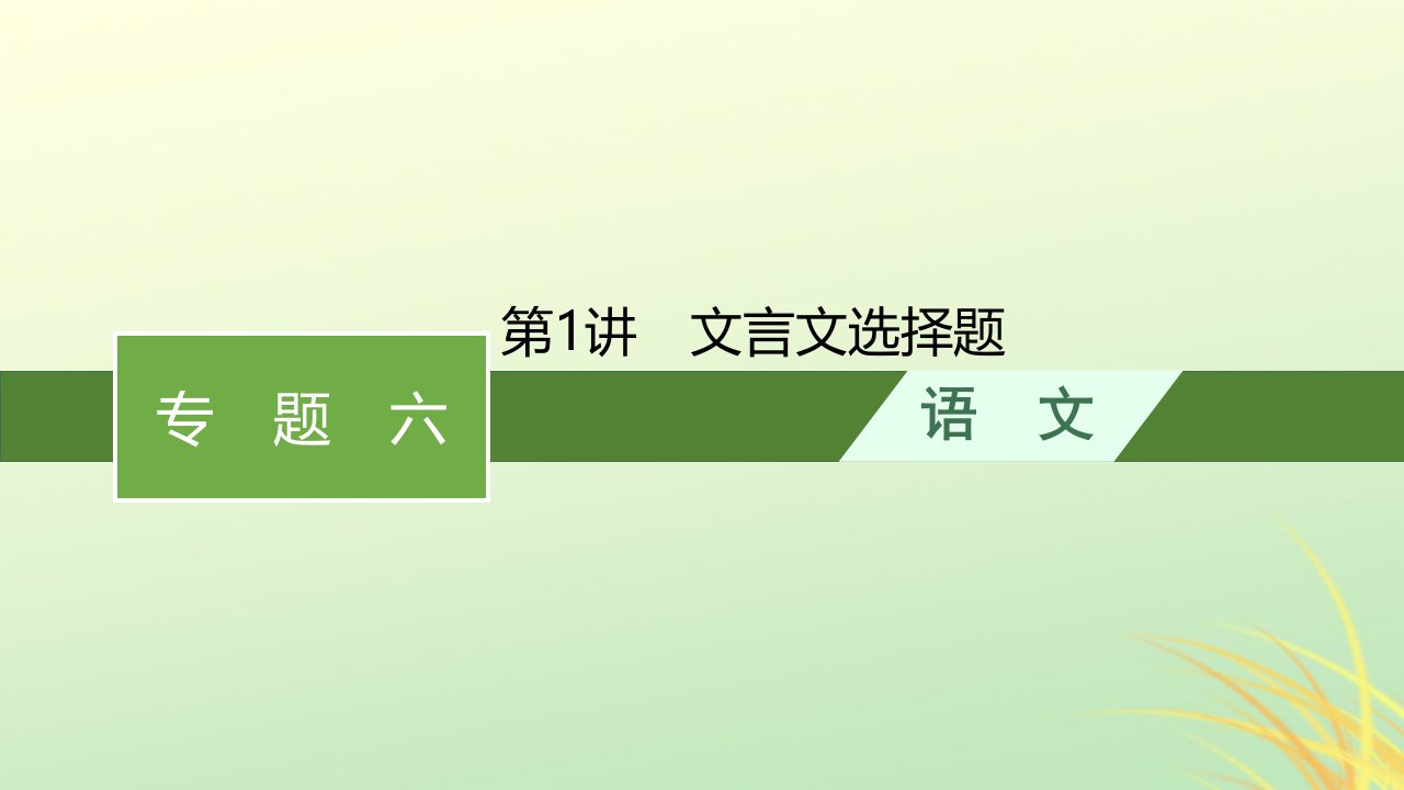 适用于老高考旧教材广西专版2023届高考语文二轮总复习专题6文言文阅读第1讲文言文选择题课件