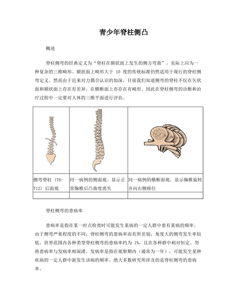 脊柱生物力学基本知识