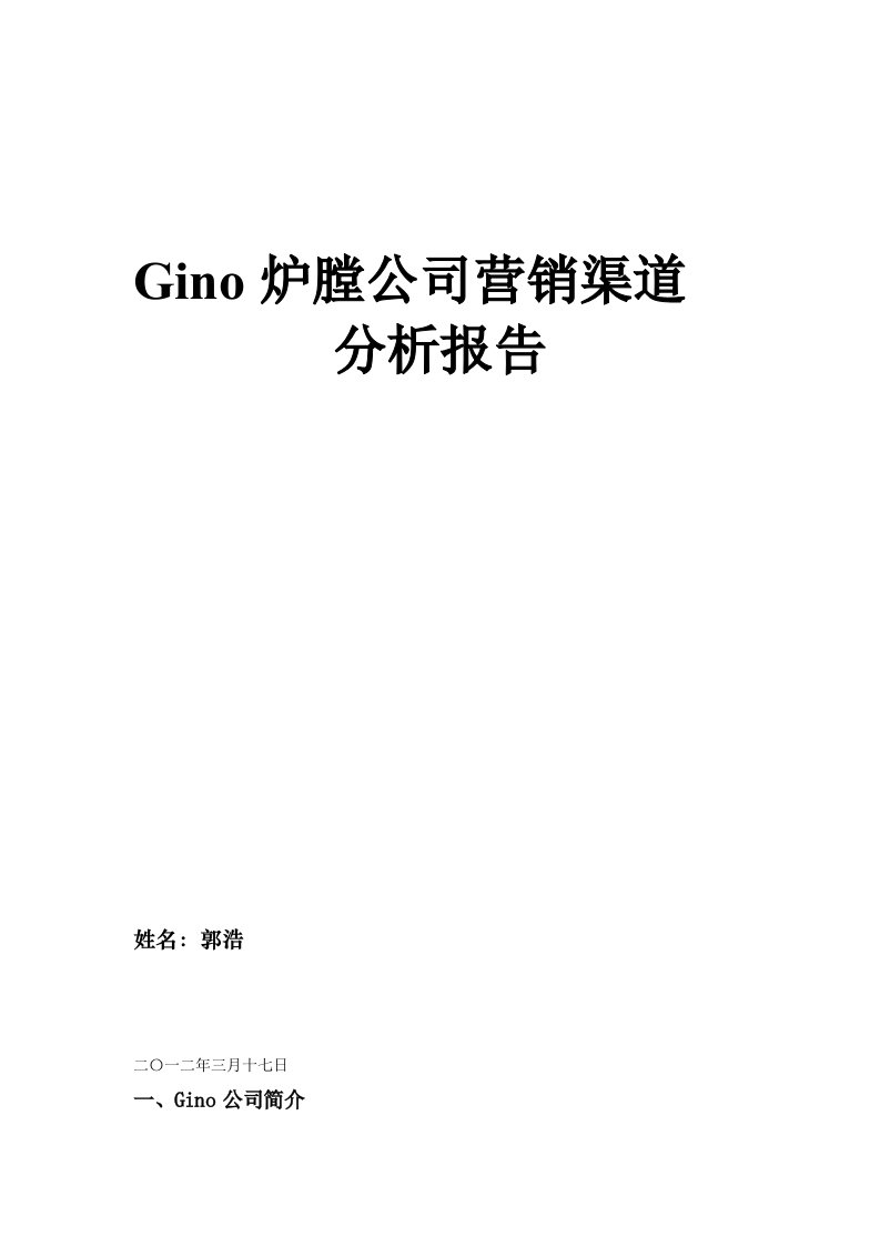 Gino炉膛公司营销渠道分析报告