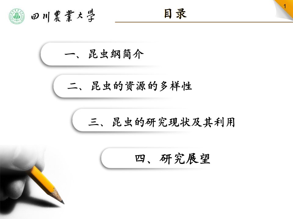 昆虫的研究多样性及其利用的现状电子教案