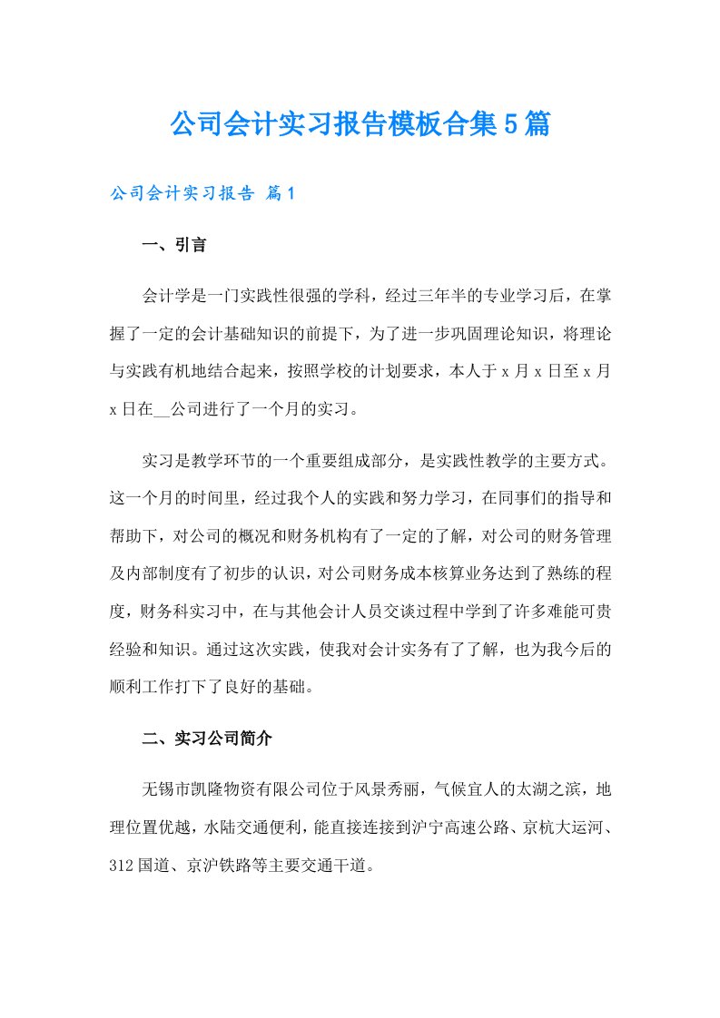 公司会计实习报告模板合集5篇