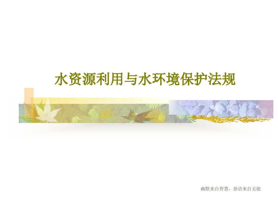 水资源利用与水环境保护法规PPT共117页