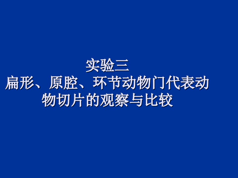 实验03扁形、原腔、环节动物门代表