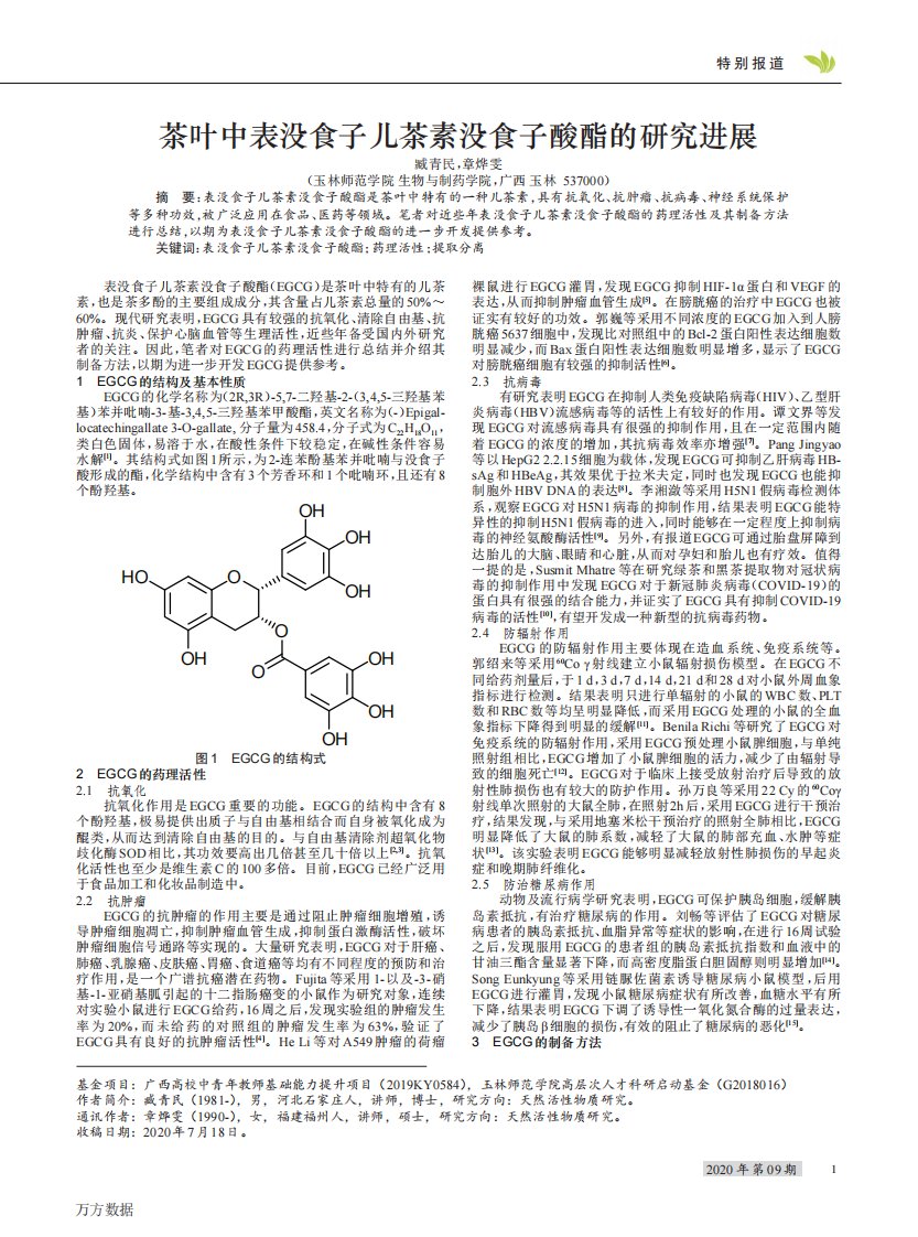 茶叶中表没食子儿茶素没食子酸酯的研究进展论文