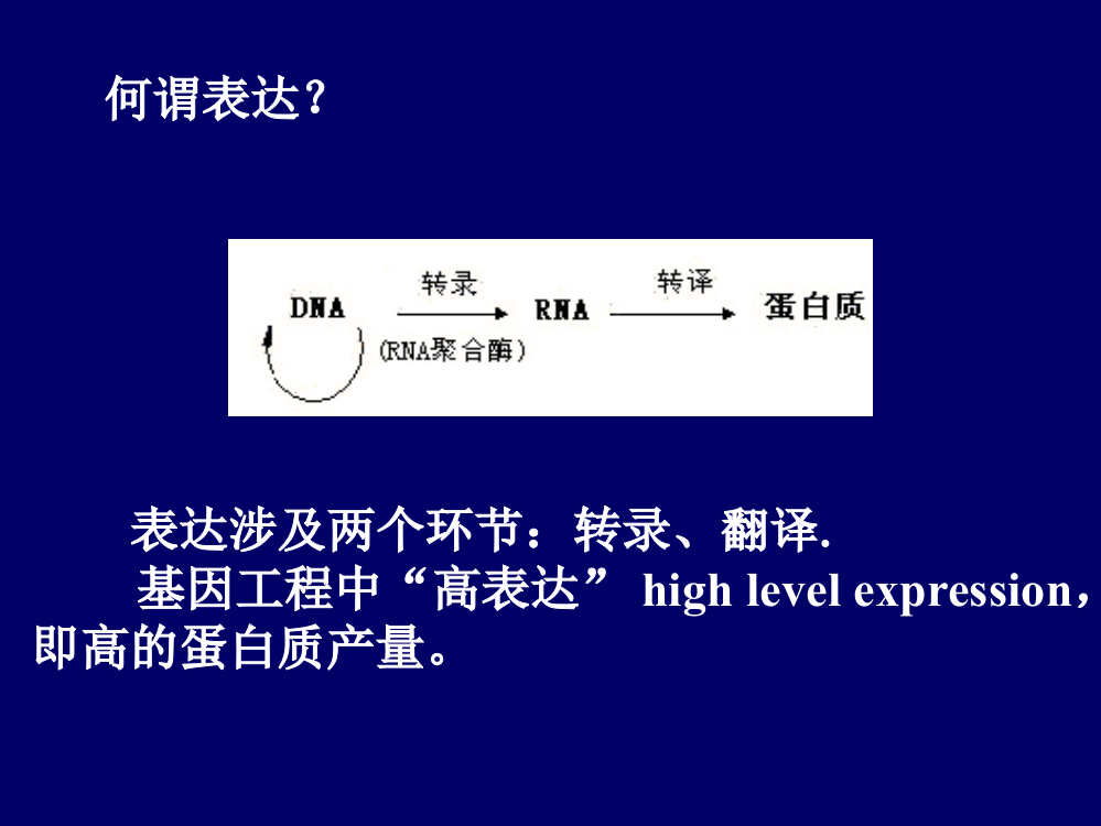 遗传学经典基因表达调控