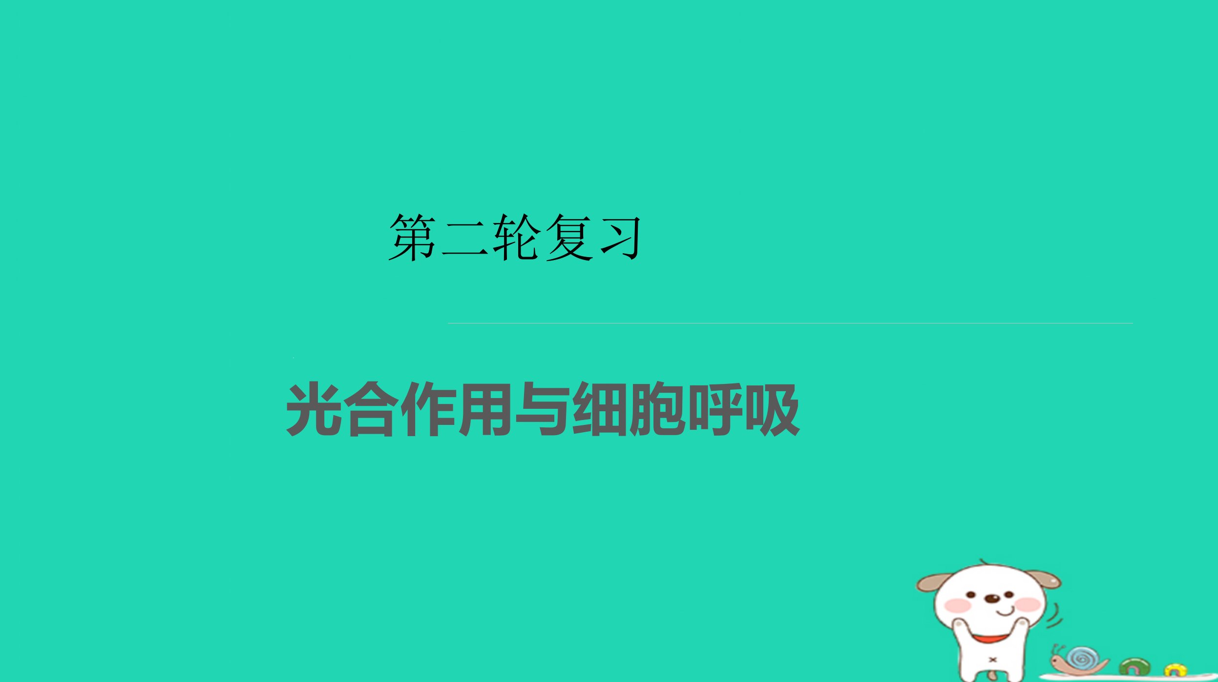 高考生物二轮复习专题光合作用与细胞呼吸ppt课件