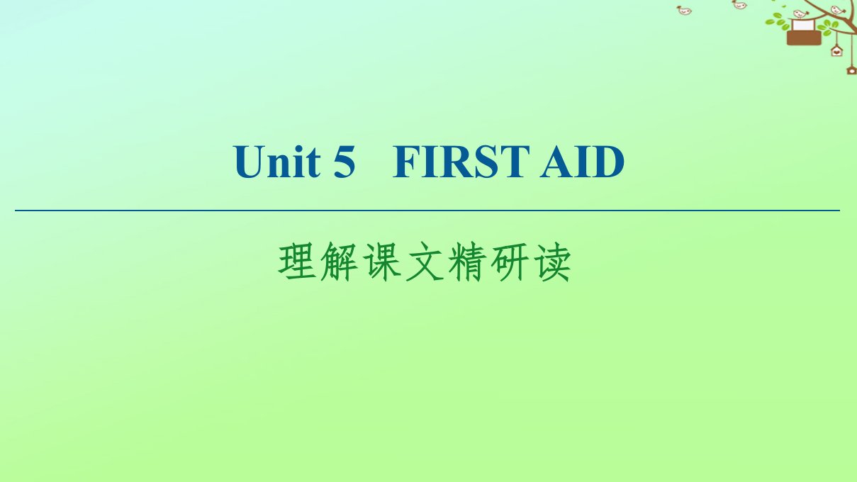 高中英语Unit5FirstAid理解课文精研读课件新人教版选择性必修第二册