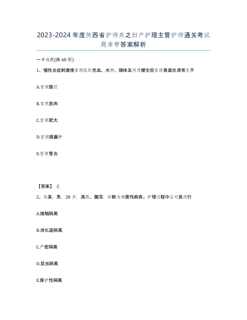 2023-2024年度陕西省护师类之妇产护理主管护师通关考试题库带答案解析