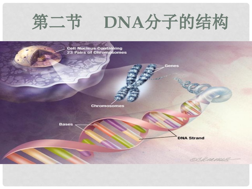 湖南省醴陵二中高中生物《32