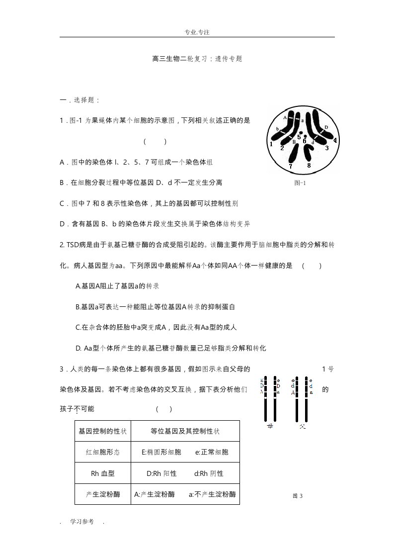 高中三年级生物二轮复习