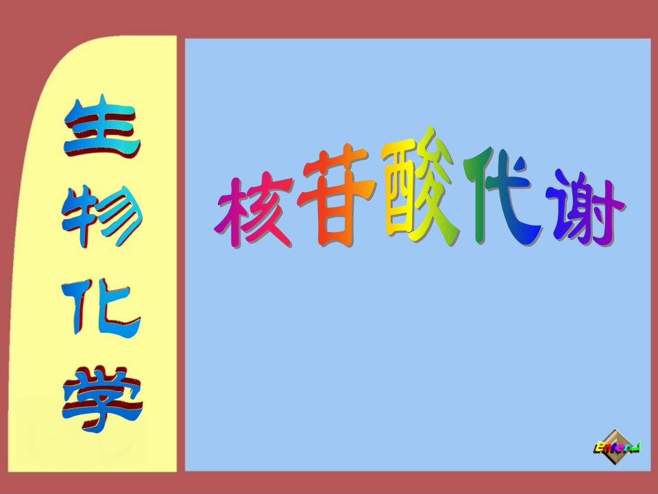 8核苷酸的代谢