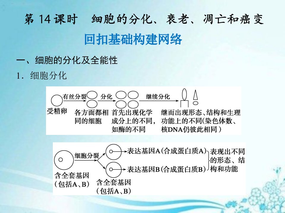 高三生物一轮复习讲义人教版时细胞分化衰老凋亡和癌变