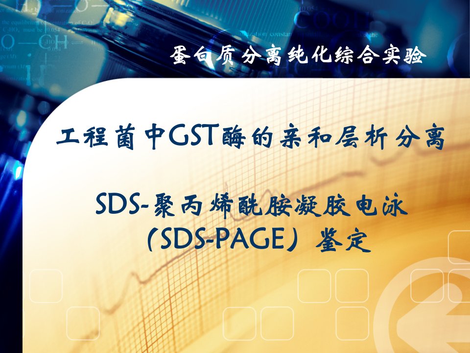 new实验七GST酶亲和层析及SDS-PAGE