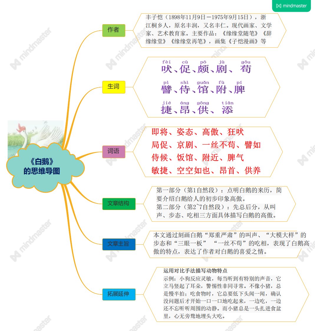 最新人教版小学语文四年级下册第15课《白鹅》的思维导图