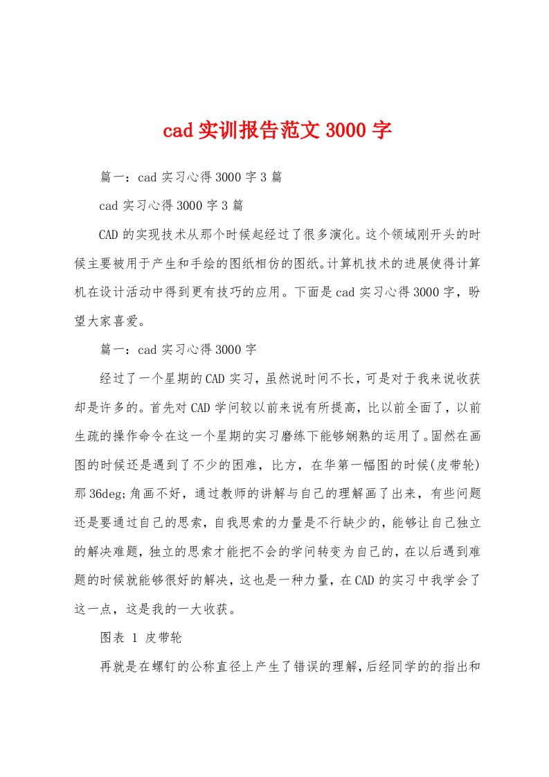 cad实训报告范文3000字