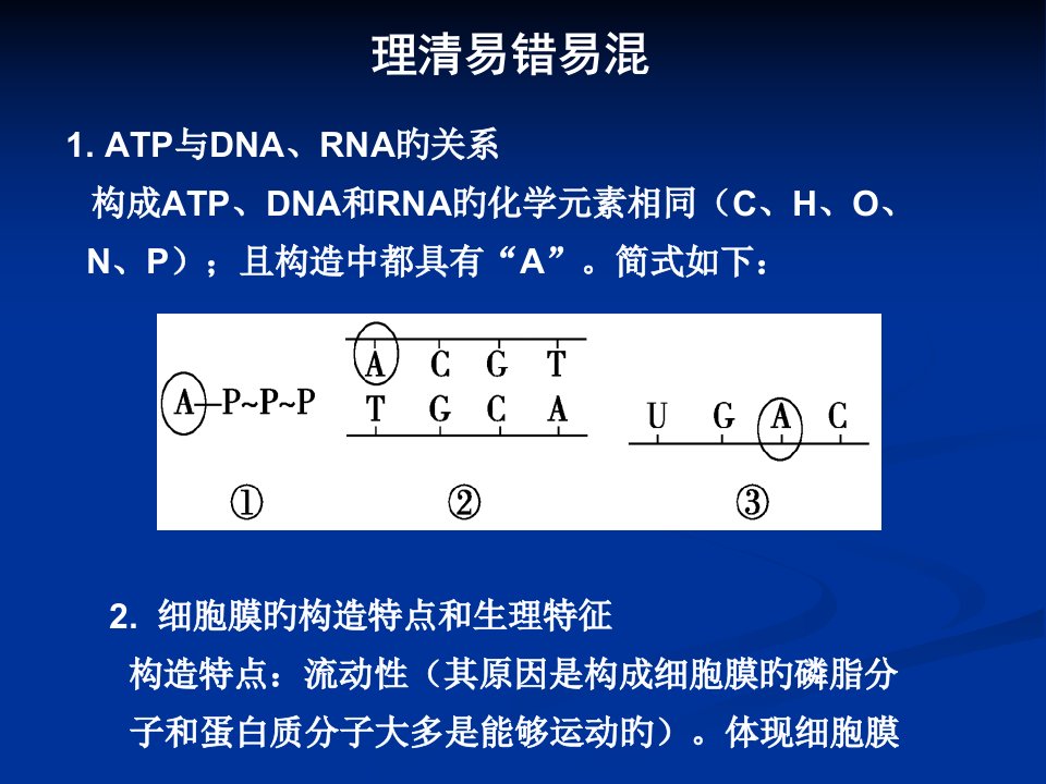 理清易错易溷生物公开课获奖课件省赛课一等奖课件