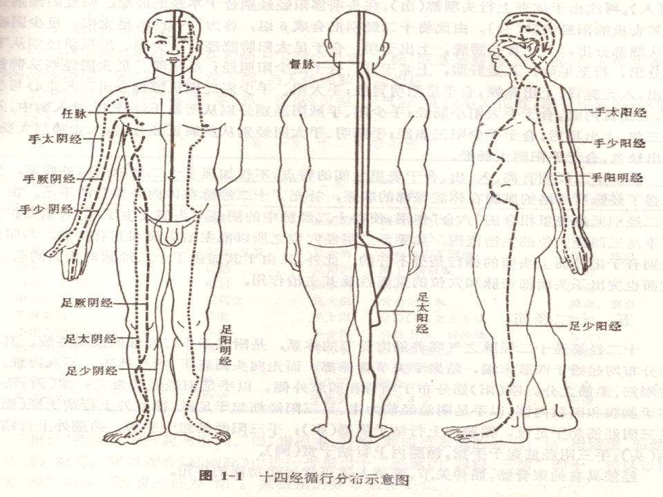 督脉循行示图